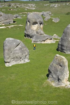 Elephant-Rocks;geological;geology;New-Zealand;North-Otago;Otago;people;person;rock;rock-formation;rock-formations;rock-outcrop;rock-outcrops;rock-tor;rock-torr;rock-torrs;rock-tors;rocks;sedementary;skull;South-Island;stone;tourisit;unusual;unusual-formations;unusual-rocks;Waitaki;Waitaki-District