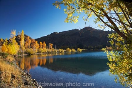 autuminal;autumn;autumn-colour;autumn-colours;autumnal;calm;color;colors;colour;colours;deciduous;fall;lake;Lake-Aviemore;lakes;leaf;leaves;N.Z.;New-Zealand;North-Otago;NZ;Otago;placid;quiet;reflection;reflections;S.I.;season;seasonal;seasons;serene;SI;smooth;South-Island;still;tranquil;tree;trees;Waitaki-District;Waitaki-Region;Waitaki-Valley;water;yellow