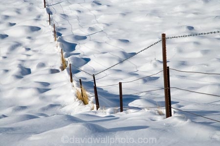 agricultural;agriculture;alpine;alpine-pass;alpine-passes;Central-Otago;cold;country;countryside;farm;farming;farmland;farms;fence;fence-line;fence-lines;fence_line;fence_lines;fenceline;fencelines;fences;field;fields;freeze;freezing;Lindis-Pass;Lindis-Pass-Scenic-Reserve;meadow;meadows;N.Z.;New-Zealand;North-Otago;NZ;Otago;paddock;paddocks;pasture;pastures;rural;S.I.;season;seasonal;seasons;SI;snow;snowy;South-Island;white;winter;wintery