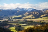 agricultural;agriculture;country;countryside;East-Otago;farm;farming;farmland;farms;field;fields;gorse;Kakanui-Mountains;meadow;meadows;N.Z.;New-Zealand;North-Otago;noxious-plant;noxious-plants;noxious-weed;noxious-weeds;NZ;paddock;paddocks;pasture;pastures;pest;Razorback-Range;rural;S.I.;SI;South-Is;South-Island;Waitaki-District;Waitaki-Region;weed;winter