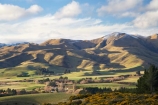 agricultural;agriculture;country;countryside;farm;farming;farmland;farms;field;fields;gorse;Kakanui-Mountains;meadow;meadows;N.Z.;New-Zealand;North-Otago;noxious-plant;noxious-plants;noxious-weed;noxious-weeds;NZ;paddock;paddocks;pasture;pastures;pest;Razorback-Range;rural;S.I.;SI;South-Is;South-Island;Waitaki-District;Waitaki-Region;weed;winter