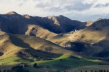 agricultural;agriculture;Blue-Mountains;country;countryside;Dunback;East-Otago;farm;farming;farmland;farms;field;fields;meadow;meadows;N.Z.;New-Zealand;NZ;Otago;paddock;paddocks;pasture;pastures;Razorback-Range;rural;S.I.;SI;South-Is.;South-Island