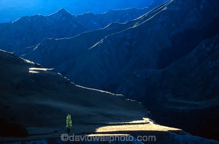 steep;canyon;canyons;tussock;tussocks;trail;trails;valley;valleys;skippers;historic;historical;poplar;tree;trees;poplars;terrace;terraces;light;sunlight;hill;hills;mountain;mountains