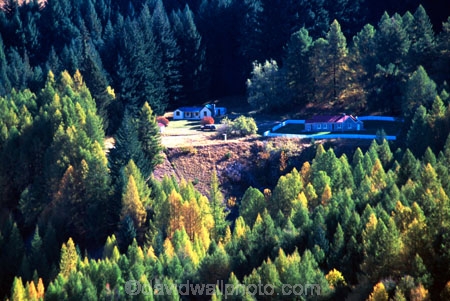 skippers;skippers-canyon;school;tree;trees;autumn;fall;forest;forests;steep;canyon;canyons;valley;valleys;historic;historical;poplar;poplars;terrace;terraces;light;sunlight;hill;hills