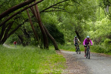 Arrow-River-Bridges-Ride;Arrowtown;Arrowtown-cycle-track;Arrowtown-cycle-trail;bicycle;bicycles;bike;bike-track;bike-tracks;bike-trail;bike-trails;bikes;biking;cycle;cycle-track;cycle-tracks;cycle-trail;cycle-trails;cycler;cyclers;cycles;cycling;cyclist;cyclists;green;leisure;mountain-bike;mountain-biker;mountain-bikers;mountain-bikes;mtn-bike;mtn-biker;mtn-bikers;mtn-bikes;N.Z.;New-Zealand;NZ;Otago;people;person;push-bike;push-bikes;push_bike;push_bikes;pushbike;pushbikes;Queenstown-Bike-Trail;Queenstown-Cycle-Trail;Queenstown-Trail;Queenstown-Trails;recreation;S.I.;SI;South-Is;South-Island;Southern-Lakes;Southern-Lakes-District;Southern-Lakes-Region;Sth-Is;tourism;tourist;tourists;tree;trees;willow-tree;willow-trees
