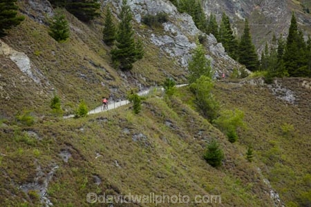 Arrow-River-Bridges-Ride;Arrowtown;Arrowtown-cycle-track;Arrowtown-cycle-trail;bicycle;bicycles;bike;bike-track;bike-tracks;bike-trail;bike-trails;bikes;biking;cycle;cycle-track;cycle-tracks;cycle-trail;cycle-trails;cycler;cyclers;cycles;cycling;cyclist;cyclists;Gibbston;Gibbston-Valley;leisure;mountain-bike;mountain-biker;mountain-bikers;mountain-bikes;mtn-bike;mtn-biker;mtn-bikers;mtn-bikes;N.Z.;New-Zealand;NZ;Otago;people;person;push-bike;push-bikes;push_bike;push_bikes;pushbike;pushbikes;Queenstown-Bike-Trail;Queenstown-Cycle-Trail;Queenstown-Trail;Queenstown-Trails;recreation;S.I.;SI;South-Is;South-Island;Southern-Lakes;Southern-Lakes-District;Southern-Lakes-Region;Sth-Is;tourism;tourist;tourists