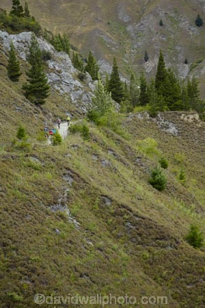 Arrow-River-Bridges-Ride;Arrowtown;Arrowtown-cycle-track;Arrowtown-cycle-trail;bicycle;bicycles;bike;bike-track;bike-tracks;bike-trail;bike-trails;bikes;biking;cycle;cycle-track;cycle-tracks;cycle-trail;cycle-trails;cycler;cyclers;cycles;cycling;cyclist;cyclists;Gibbston;Gibbston-Valley;leisure;mountain-bike;mountain-biker;mountain-bikers;mountain-bikes;mtn-bike;mtn-biker;mtn-bikers;mtn-bikes;N.Z.;New-Zealand;NZ;Otago;people;person;push-bike;push-bikes;push_bike;push_bikes;pushbike;pushbikes;Queenstown-Bike-Trail;Queenstown-Cycle-Trail;Queenstown-Trail;Queenstown-Trails;recreation;S.I.;SI;South-Is;South-Island;Southern-Lakes;Southern-Lakes-District;Southern-Lakes-Region;Sth-Is;tourism;tourist;tourists