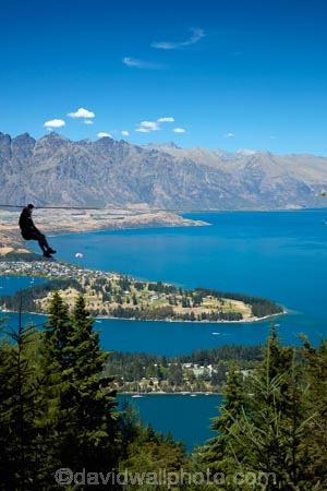adrenaline;adventure-tourism;aerial-ropeslide;aerial-runway;death-slide;fast;flying-fox;flying-foxes;flying_fox;flying_foxes;flyingfox;flyingfoxes;foefie-slide;heights;high;lake;Lake-Wakatipu;lakes;N.Z.;New-Zealand;NZ;Otago;people;person;Queenstown;Queenstown-Bay;S.I.;SI;skyline;South-Is;South-Is.;South-Island;Southern-Lakes;Southern-Lakes-District;Southern-Lakes-Region;Sth-Is;Sypline;The-Remarkables;tourism;tourist;tourists;tree;trees;zip-cable;zip-cables;zip-line;zip-lines;zip-lining;Zip-Trek;Zip-Trek-Ecotours;zip-wire;zip-wires;zip_line;zip_lines;zip_lining;zipline;ziplines;ziplining;Ziptrek;Ziptrek-Ecotours