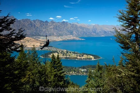 adrenaline;adventure-tourism;aerial-ropeslide;aerial-runway;death-slide;fast;flying-fox;flying-foxes;flying_fox;flying_foxes;flyingfox;flyingfoxes;foefie-slide;heights;high;lake;Lake-Wakatipu;lakes;N.Z.;New-Zealand;NZ;Otago;people;person;Queenstown;Queenstown-Bay;S.I.;SI;skyline;South-Is;South-Is.;South-Island;Southern-Lakes;Southern-Lakes-District;Southern-Lakes-Region;Sth-Is;Sypline;The-Remarkables;tourism;tourist;tourists;tree;trees;zip-cable;zip-cables;zip-line;zip-lines;zip-lining;Zip-Trek;Zip-Trek-Ecotours;zip-wire;zip-wires;zip_line;zip_lines;zip_lining;zipline;ziplines;ziplining;Ziptrek;Ziptrek-Ecotours