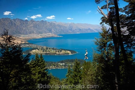 adrenaline;adventure-tourism;aerial-ropeslide;aerial-runway;death-slide;fast;flying-fox;flying-foxes;flying_fox;flying_foxes;flyingfox;flyingfoxes;foefie-slide;heights;high;lake;Lake-Wakatipu;lakes;N.Z.;New-Zealand;NZ;Otago;people;person;Queenstown;Queenstown-Bay;S.I.;SI;skyline;South-Is;South-Is.;South-Island;Southern-Lakes;Southern-Lakes-District;Southern-Lakes-Region;Sth-Is;Sypline;The-Remarkables;tourism;tourist;tourists;tree;trees;zip-cable;zip-cables;zip-line;zip-lines;zip-lining;Zip-Trek;Zip-Trek-Ecotours;zip-wire;zip-wires;zip_line;zip_lines;zip_lining;zipline;ziplines;ziplining;Ziptrek;Ziptrek-Ecotours