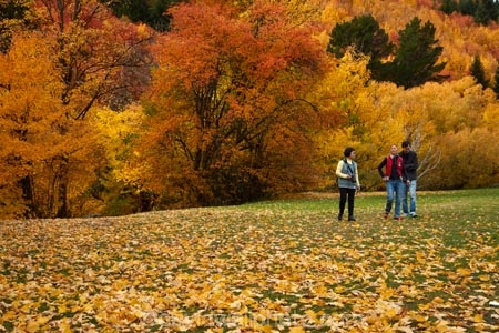 Arrowtown;Arrowtown-Hill;Asian-tourists;autuminal;autumn;autumn-colour;autumn-colours;autumn-leaves;autumnal;Central-Otago;Chinese-tourists;color;colors;colour;colours;conifer;conifers;deciduous;fall;gold;golden;larch;leaf;leaves;mountain-ash;N.Z.;near-Queenstown;New-Zealand;NZ;orange;orange-mountain-ash;Otago;park;parks;people;person;Queenstown;reserve;rowan;rowan-tree;rowan-trees;S.I.;season;seasonal;seasons;SI;sorbus;Sorbus-aucaparia;South-Is;South-Is.;South-Island;Southern-Lakes;Southern-Lakes-District;Southern-Lakes-Region;Sth-Is;Tobins-Track;Tobins-Track;tourism;tourist;tourists;tree;trees;Wilcox-Green;yellow