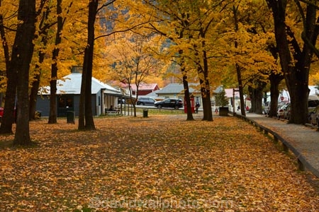 Arrowtown;autuminal;autumn;autumn-colour;autumn-colours;autumnal;building;buildings;color;colors;colour;colours;deciduous;fall;gold;golden;heritage;historic;historic-building;historic-buildings;historical;historical-building;historical-buildings;history;leaf;leaves;library;N.Z.;New-Zealand;NZ;old;Otago;Queenstown;season;seasonal;seasons;South-Is;South-Island;Sth-Is;tradition;traditional;tree;trees;yellow
