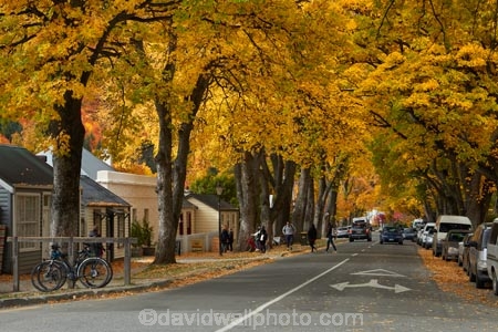 Arrowtown;Arrowtown-cottages;autuminal;autumn;autumn-colour;autumn-colours;autumnal;Buckingham-St;Buckingham-Street;building;buildings;color;colors;colour;colours;cottage;cottages;deciduous;fall;gold;golden;heritage;historic;historic-building;historic-buildings;historic-cottage;historic-cottages;historical;historical-building;historical-buildings;historical-cottage;historical-cottages;history;leaf;leaves;N.Z.;New-Zealand;NZ;old;Otago;Queenstown;S.I.;season;seasonal;seasons;SI;South-Is;South-Is.;South-Island;Southern-Lakes;Southern-Lakes-District;Southern-Lakes-Region;Sth-Is;tradition;traditional;tree;trees;yellow