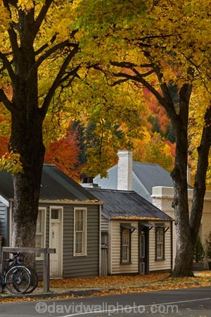 Arrowtown;Arrowtown-cottages;autuminal;autumn;autumn-colour;autumn-colours;autumnal;Buckingham-St;Buckingham-Street;building;buildings;color;colors;colour;colours;cottage;cottages;deciduous;fall;gold;golden;heritage;historic;historic-building;historic-buildings;historic-cottage;historic-cottages;historical;historical-building;historical-buildings;historical-cottage;historical-cottages;history;leaf;leaves;N.Z.;New-Zealand;NZ;old;Otago;Queenstown;S.I.;season;seasonal;seasons;SI;South-Is;South-Is.;South-Island;Southern-Lakes;Southern-Lakes-District;Southern-Lakes-Region;Sth-Is;tradition;traditional;tree;trees;yellow