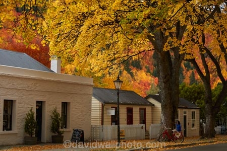 Arrowtown;Arrowtown-cottages;autuminal;autumn;autumn-colour;autumn-colours;autumnal;Buckingham-St;Buckingham-Street;building;buildings;color;colors;colour;colours;cottage;cottages;deciduous;fall;gold;golden;heritage;historic;historic-building;historic-buildings;historic-cottage;historic-cottages;historical;historical-building;historical-buildings;historical-cottage;historical-cottages;history;leaf;leaves;N.Z.;New-Zealand;NZ;old;Otago;Queenstown;S.I.;season;seasonal;seasons;SI;South-Is;South-Is.;South-Island;Southern-Lakes;Southern-Lakes-District;Southern-Lakes-Region;Sth-Is;tradition;traditional;tree;trees;yellow