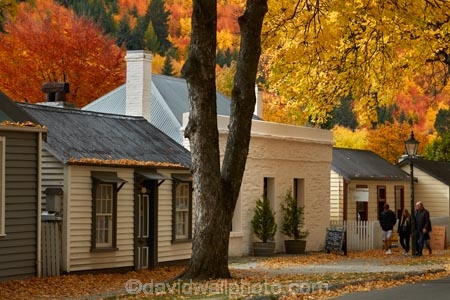 Arrowtown;Arrowtown-cottages;autuminal;autumn;autumn-colour;autumn-colours;autumnal;Buckingham-St;Buckingham-Street;building;buildings;color;colors;colour;colours;cottage;cottages;deciduous;fall;gold;golden;heritage;historic;historic-building;historic-buildings;historic-cottage;historic-cottages;historical;historical-building;historical-buildings;historical-cottage;historical-cottages;history;leaf;leaves;N.Z.;New-Zealand;NZ;old;Otago;Queenstown;S.I.;season;seasonal;seasons;SI;South-Is;South-Is.;South-Island;Southern-Lakes;Southern-Lakes-District;Southern-Lakes-Region;Sth-Is;tradition;traditional;tree;trees;yellow