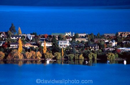 Queenstown;Central-Otago;Lake-Wakatipu;Wakatipu;lake;water;blue;colour;Kelvin-Peninsula;peninsula;stripe;strip;stripes;house;houses;home;homes;boat;boats;tree;trees;still;serene