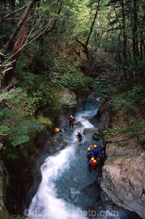 Routeburn-Track;routeburn;great-walk;Mt-Aspiring-National-Park;south-island;new-zealand;forest;forests;bush;rainforest;rainforests;native;vegetation;green;lush;verdant;moss;fern;ferns;mosses;tree;trees;natural;clean-green;clean;river;rivers;clear;transparent;pure;water;doc;department-of-conservation;d.o.c.;gorge;gorges;ravine;ravines;canyon;canyons;canyoners;canyoneers;canyoner;canyoneer;canyoning;adventure;adventure-tourism;adrenaline;exciting;excite;outdoor;outdoors;outside;recreation;recreational;rapid;rapids;white-water;whitewater