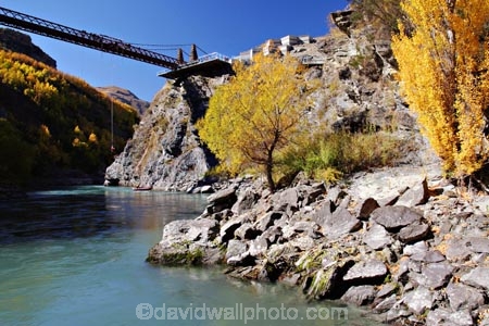 action;adventure;adventure-tourism;Autumn;bridge;bridges;bungee;bungy;bunjee;central-otago;color;colour;excitement;fall;gold;golden;historic;historical;kawarau-bridge;Kawarau-Gorge;Kawarau-River;New-Zealand;poplar;poplars;Queenstown-Road;river;rivers;season;seasonal;seasons;South-Island;tree;trees;valley;valleys;willow;willows;yellow