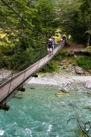 beautiful;beauty;Beech-Forest;bridge;bridges;bush;endemic;foot-bridge;foot-bridges;footbridge;footbridges;forest;forests;great-walk;green;hike;hiker;hikers;hiking;hiking-track;hiking-tracks;mt-aspiring-national-park;national-parks;native;native-bush;natives;natural;nature;New-Zealand;Nothofagus;pedestrian-bridge;pedestrian-bridges;rain-forest;rain-forests;rain_forest;rain_forests;rainforest;rainforests;river;routeburn;routeburn-track;scene;scenic;southern-beeches;swing-bridge;swing-bridges;timber;track;tracks;tramp;tramper;trampers;tramping;tree;tree-trunk;tree-trunks;trees;trek;treker;trekers;treking;trekker;trekkers;trekking;trunk;trunks;walk;walker;walkers;walking;walking-track;walking-tracks;wire-bridge;wire-bridges;wood;woods