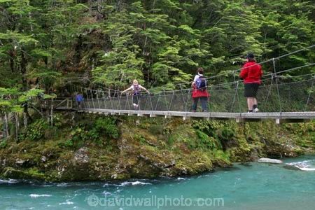 beautiful;beauty;Beech-Forest;bridge;bridges;bush;endemic;foot-bridge;foot-bridges;footbridge;footbridges;forest;forests;great-walk;green;hike;hiker;hikers;hiking;hiking-track;hiking-tracks;mt-aspiring-national-park;national-parks;native;native-bush;natives;natural;nature;New-Zealand;Nothofagus;pedestrian-bridge;pedestrian-bridges;rain-forest;rain-forests;rain_forest;rain_forests;rainforest;rainforests;river;routeburn;routeburn-track;scene;scenic;southern-beeches;swing-bridge;swing-bridges;timber;track;tracks;tramp;tramper;trampers;tramping;tree;tree-trunk;tree-trunks;trees;trek;treker;trekers;treking;trekker;trekkers;trekking;trunk;trunks;walk;walker;walkers;walking;walking-track;walking-tracks;wire-bridge;wire-bridges;wood;woods
