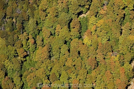 aerial;aerial-photo;aerial-photography;aerial-photos;aerial-view;aerial-views;aerials;beautiful;beauty;Beech-Forest;bush;endemic;Fiordland;Fiordland-N.P;Fiordland-National-Park;Fiordland-NP;forest;forests;green;N.Z.;national-park;national-parks;native;native-bush;natives;natural;nature;New-Zealand;Nothofagus;NZ;Otago;Queenstown;rain-forest;rain-forests;rain_forest;rain_forests;rainforest;rainforests;red-beech;Red-Beech-Forest;red-beeches;Route-Burn-Valley;Routeburn;S.I.;scene;scenic;SI;South-Is.;South-Island;south-west-new-zealand-world-heritage-area;southern-beeches;Southern-Lakes;Southern-Lakes-District;Southern-Lakes-Region;Southland;te-wahipounamu;te-wahipounamu-south_west-new-zealand-world-heritage-area;timber;tree;trees;wood;woods;world-heirtage-site;world-heritage-area