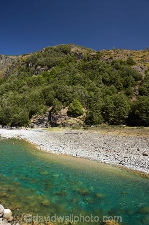 beautiful;beauty;Beech-Forest;bush;clean-water;clear-water;endemic;forest;forests;green;Greenstone-River;Greenstone-Track;Greenstone-Valley;N.Z.;native;native-bush;natives;natural;nature;New-Zealand;Nothofagus;NZ;Otago;pathways;pure-water;rain-forest;rain-forests;rain_forest;rain_forests;rainforest;rainforests;river;rivers;S.I.;scene;scenic;SI;South-Is.;South-Island;southern-beeches;subtropical-rainforest;subtropical-rainforests;Te-Ara-Roa;Te-Araroa;Te-Araroa-Pathway;Te-Araroa-Walkway;The-Long-Pathway;The-Long-Walkway;timber;tramping-track;tramping-tracks;tramping-trail;tramping-trails;tree;trees;trekking-track;trekking-tracks;trekking-trail;trekking-trails;walking-track;walking-tracks;walking-trail;walking-trails;walkway;walkways;wood;woods