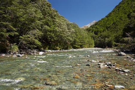 beautiful;beauty;Beech-Forest;bush;clean-water;clear-water;endemic;forest;forests;green;Greenstone-River;Greenstone-Track;Greenstone-Valley;N.Z.;native;native-bush;natives;natural;nature;New-Zealand;Nothofagus;NZ;Otago;pathways;pure-water;rain-forest;rain-forests;rain_forest;rain_forests;rainforest;rainforests;river;rivers;S.I.;scene;scenic;SI;South-Is.;South-Island;southern-beeches;subtropical-rainforest;subtropical-rainforests;Te-Ara-Roa;Te-Araroa;Te-Araroa-Pathway;Te-Araroa-Walkway;The-Long-Pathway;The-Long-Walkway;timber;tramping-track;tramping-tracks;tramping-trail;tramping-trails;tree;trees;trekking-track;trekking-tracks;trekking-trail;trekking-trails;walking-track;walking-tracks;walking-trail;walking-trails;walkway;walkways;wood;woods