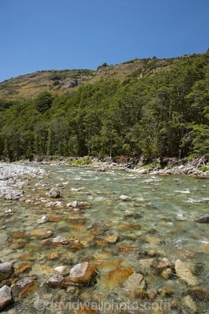 beautiful;beauty;Beech-Forest;bush;clean-water;clear-water;endemic;forest;forests;green;Greenstone-River;Greenstone-Track;Greenstone-Valley;N.Z.;native;native-bush;natives;natural;nature;New-Zealand;Nothofagus;NZ;Otago;pathways;pure-water;rain-forest;rain-forests;rain_forest;rain_forests;rainforest;rainforests;river;rivers;S.I.;scene;scenic;SI;South-Is.;South-Island;southern-beeches;subtropical-rainforest;subtropical-rainforests;Te-Ara-Roa;Te-Araroa;Te-Araroa-Pathway;Te-Araroa-Walkway;The-Long-Pathway;The-Long-Walkway;timber;tramping-track;tramping-tracks;tramping-trail;tramping-trails;tree;trees;trekking-track;trekking-tracks;trekking-trail;trekking-trails;walking-track;walking-tracks;walking-trail;walking-trails;walkway;walkways;wood;woods