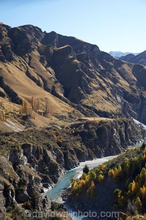 autuminal;autumn;autumn-colour;autumn-colours;autumnal;back-country;backcountry;canyon;canyons;Central-Otago;color;colors;colour;colours;deciduous;fall;gorge;gorges;heritage;high-altitude;high-country;highcountry;highlands;historic;historical;history;N.Z.;near-Queenstown;New-Zealand;NZ;old;Otago;Queenstown;remote;remoteness;rugged;S.I.;season;seasonal;seasons;Shotover-River;SI;Skippers;Skippers-Canyon;South-Is.;South-Island;Southern-Lakes;Southern-Lakes-District;Southern-Lakes-Region;steep;tradition;tree;trees;uplands