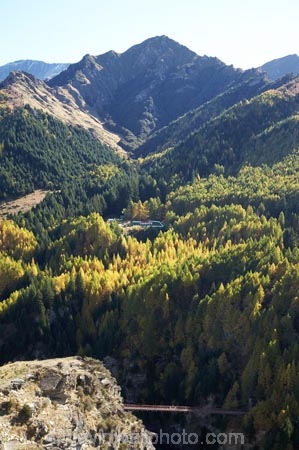 autuminal;autumn;autumn-colour;autumn-colours;autumnal;back-country;backcountry;building;buildings;Central-Otago;color;colors;colour;colours;deciduous;fall;heritage;high-altitude;high-country;highcountry;highlands;historic;historic-bridge;historic-bridges;historical;historical-bridge;historical-bridges;history;larch;larch-tree;larch-trees;Larix-decidua;N.Z.;near-Queenstown;New-Zealand;NZ;old;Otago;Queenstown;remote;remoteness;S.I.;season;seasonal;seasons;Shotover-River;SI;Skippers;Skippers-Canyon;South-Is.;South-Island;Southern-Lakes;Southern-Lakes-District;Southern-Lakes-Region;tradition;traditional;tree;trees;uplands