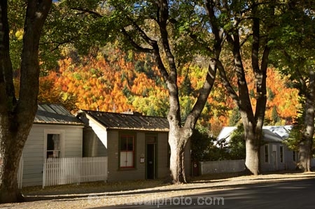 Arrowtown;autuminal;autumn;autumn-colour;autumn-colours;autumnal;building;buildings;Central-Otago;color;colors;colour;colours;deciduous;fall;heritage;historic;historic-building;historic-buildings;Historic-Cottages;historical;historical-building;historical-buildings;history;N.Z.;near-Queenstown;New-Zealand;NZ;old;Otago;S.I.;season;seasonal;seasons;SI;South-Is.;South-Island;Southern-Lakes;Southern-Lakes-District;Southern-Lakes-Region;tradition;traditional;tree;trees