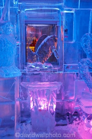 bar;bars;cold;entertainment;ice;Ice-Bar;icy;Minus-5;Minus-5-Ice-Bar;Minus-Five-Degrees;N.Z.;New-Zealand;night-life;night_life;nightlife;NZ;Otago;Queenstown;SI-S.I.;South-Island;Southern-Lakes;Southern-Lakes-District;Southern-Lakes-Region