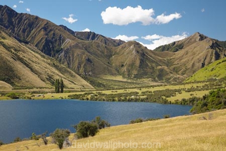 lake;lakes;Moke-Lake;Moonlight-Track;N.Z.;New-Zealand;NZ;Otago;Queenstown;S.I.;SI;South-Is.;South-Island;Southern-Lakes;Southern-Lakes-District;Southern-Lakes-Region;summer