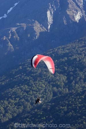 adrenaline;adventure;adventure-tourism;Air-Games;altitude;beautiful;beauty;Beech-Forest;bush;canopy;endemic;excite;excitement;extreme;extreme-sport;fly;flyer;flying;forest;forests;free;freedom;green;motorised-paraglider;motorised-paragliders;N.Z.;native;native-bush;natives;natural;nature;New-Zealand;New-Zealand-Air-Games;Nothofagus;NZ;NZ-Air-Games;Otago;para-motor;para-motors;para_motor;para_motors;parachute;parachutes;paraglide;paraglider;paragliders;paragliding;paramotor;paramotoring;paramotors;parapont;paraponter;paraponters;paraponting;paraponts;parasail;parasailer;parasailers;parasailing;parasails;power;powered;powered-aircraft;rain-forest;rain-forests;rain_forest;rain_forests;rainforest;rainforests;recreation;S.I.;scene;scenic;SI;skies;sky;soar;soaring;South-Island;southern-beeches;sport;sports;timber;tree;tree-trunk;tree-trunks;trees;trunk;trunks;view;wood;woods