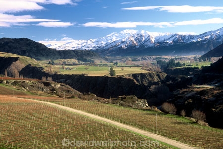 color;colors;colour;colours;crop;crops;cultivation;farm;farming;farms;field;fields;grape;grapes;grapevine;green;horticulture;mountain;mountains;road;roads;row;rows;rural;snow;vine;vines;vineyard;vineyards;vintage;wine;wineries;winery;wines;winter