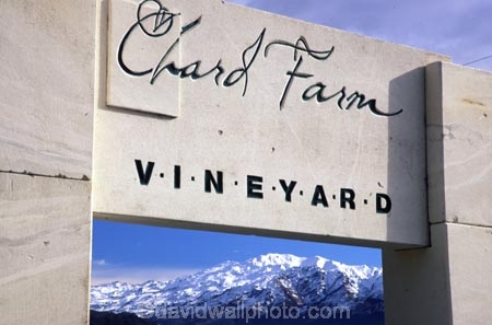 color;colors;colour;colours;crop;crops;cultivation;farm;farming;farms;field;fields;grape;grapes;grapevine;horticulture;mountain;mountains;rural;sign;signs;snow;vine;vines;vineyard;vineyards;vintage;white;wine;wineries;winery;wines;winter