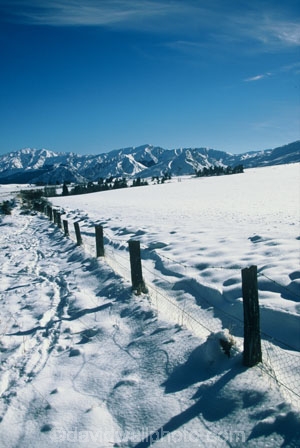 agriculture;cold;countryside;farm;farming;farmland;farms;fence;fenceline;fencepost;fenceposts;fences;field;fields;freeze;freezing;grassland;grazing;harsh;highcountry;land;meadow;meadows;mountain;mountains;paddock;paddocks;pastoral;pasture;rural;snow;white;winter