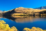 willow;tree;trees;reflection;yellow;fall;leaf;leaves;color;colors;colour;colours;wakatipu-basin;reflections;willow;willows;lakes