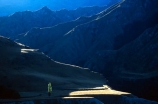 steep;canyon;canyons;tussock;tussocks;trail;trails;valley;valleys;skippers;historic;historical;poplar;tree;trees;poplars;terrace;terraces;light;sunlight;hill;hills;mountain;mountains