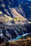 steep;canyon;canyons;tussock;tussocks;valley;valleys;skippers;historic;historical;shotover;river;rivers;cliff;cliffs;bluff;bluffs;poplar;poplars;tree;trees;autumn;fall;yellow
