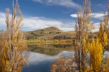 Queenstown & region