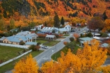 Arrowtown;Arrowtown-Hill;autuminal;autumn;autumn-colour;autumn-colours;autumnal;central-otago;color;colors;colour;colours;conifer;conifers;deciduous;fall;gold;golden;larch;leaf;leaves;mountain-ash;N.Z.;near-Queenstown;New-Zealand;NZ;orange;orange-mountain-ash;Otago;pine;pine-tree;pine-trees;pines;Queenstown;rowan;rowan-tree;rowan-trees;S.I.;season;seasonal;seasons;SI;sorbus;Sorbus-aucaparia;South-Is;South-Is.;South-Island;Southern-Lakes;Southern-Lakes-District;Southern-Lakes-Region;Sth-Is;tree;trees;yellow