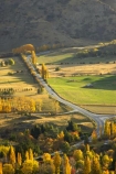 agricultural;agriculture;arrow-junction;arrowtown;autuminal;autumn;autumnal;bend;bends;central-otago;color;colors;colour;colours;corner;corners;country;countryside;deciduous;driving;fall;farm;farming;farmland;farms;field;fields;highway;highways;horticulture;leaf;leaves;meadow;meadows;new-zealand;open-road;open-roads;paddock;paddocks;pasture;pastures;poplar;poplar-tree;poplar-trees;poplars;queenstown;road;road-trip;roads;rural;south-island;straight;transport;transportation;travel;traveling;travelling;tree;trees;trip;wakatipu-basin