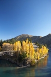 autuminal;Autumn;autumn-colour;Autumn-Colours;autumnal;bridge;bridges;central-otago;color;colors;colour;colours;deciduous;fall;gold;golden;Kawarau-Gorge;Kawarau-River;N.Z.;New-Zealand;NZ;Otago;poplar;poplars;Queenstown;Queenstown-Road;river;rivers;S.I.;season;seasonal;seasons;SI;South-Is.;South-Island;Southern-Lakes;Southern-Lakes-District;Southern-Lakes-Region;State-Highway-6;State-Highway-Six;transport;transportation;tree;trees;valley;valleys;victoria-bridge;willow;willows;yellow