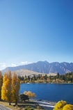 autuminal;autumn;autumn-colour;autumn-colours;autumnal;Central-Otago;color;colors;colour;colours;deciduous;fall;lake;Lake-Wakatipu;lakes;mountain;mountains;N.Z.;New-Zealand;NZ;Otago;poplar;poplar-tree;poplar-trees;poplars;Queenstown;Queenstown-Bay;Queenstown-Gardens;Queenstown-Peninsula;Remarkables;S.I.;season;seasonal;seasons;SI;South-Is.;South-Island;Southern-Lakes;Southern-Lakes-District;Southern-Lakes-Region;The-Remarkables;tree;trees;willow;willow-tree;willow-trees;willows