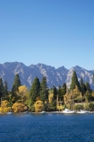 autuminal;autumn;autumn-colour;autumn-colours;autumnal;Central-Otago;color;colors;colour;colours;deciduous;fall;lake;Lake-Wakatipu;lakes;mountain;mountains;N.Z.;New-Zealand;NZ;Otago;Queenstown;Queenstown-Bay;Queenstown-Gardens;Queenstown-Peninsula;Remarkables;S.I.;season;seasonal;seasons;SI;South-Is.;South-Island;Southern-Lakes;Southern-Lakes-District;Southern-Lakes-Region;The-Remarkables;tree;trees;willow;willow-tree;willow-trees;willows