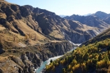 autuminal;autumn;autumn-colour;autumn-colours;autumnal;back-country;backcountry;canyon;canyons;Central-Otago;color;colors;colour;colours;deciduous;fall;gorge;gorges;heritage;high-altitude;high-country;highcountry;highlands;historic;historical;history;N.Z.;near-Queenstown;New-Zealand;NZ;old;Otago;Queenstown;remote;remoteness;rugged;S.I.;season;seasonal;seasons;Shotover-River;SI;Skippers;Skippers-Canyon;South-Is.;South-Island;Southern-Lakes;Southern-Lakes-District;Southern-Lakes-Region;steep;tradition;tree;trees;uplands