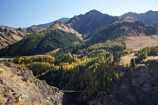 autuminal;autumn;autumn-colour;autumn-colours;autumnal;back-country;backcountry;building;buildings;Central-Otago;color;colors;colour;colours;deciduous;fall;heritage;high-altitude;high-country;highcountry;highlands;historic;historic-bridge;historic-bridges;historical;historical-bridge;historical-bridges;history;N.Z.;near-Queenstown;New-Zealand;NZ;old;Otago;Queenstown;remote;remoteness;S.I.;season;seasonal;seasons;Shotover-River;SI;Skippers;Skippers-Canyon;South-Is.;South-Island;Southern-Lakes;Southern-Lakes-District;Southern-Lakes-Region;tradition;traditional;tree;trees;uplands