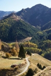 agricultural;agriculture;autuminal;autumn;autumn-colour;autumn-colours;autumnal;back-country;backcountry;Central-Otago;color;colors;colour;colours;country;countryside;deciduous;fall;farm;farming;farmland;farms;field;fields;gravel-road;gravel-roads;high-altitude;high-country;highcountry;highlands;meadow;meadows;metal-road;metal-roads;metalled-road;metalled-roads;N.Z.;near-Queenstown;New-Zealand;NZ;Otago;paddock;paddocks;pasture;pastures;Queenstown;remote;remoteness;road;roads;rural;S.I.;season;seasonal;seasons;SI;Skippers;Skippers-Canyon;South-Is.;South-Island;Southern-Lakes;Southern-Lakes-District;Southern-Lakes-Region;tree;trees;uplands
